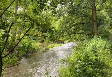 Tour Wandern Sainte-Ode - Lavacherie - Photo