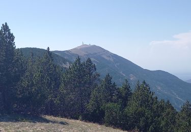 Percorso Marcia Bédoin - Crêtes du Ventoux au départ du Chalet Reynard  - Photo