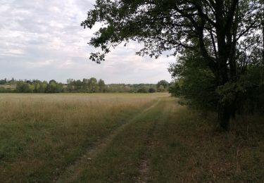 Percorso Marcia Le Controis-en-Sologne - Feings 28.07.2022 - Photo