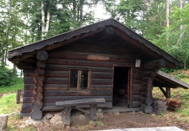 Trail Walking Masevaux-Niederbruck - Col du Schirm-Sattelboden - Photo