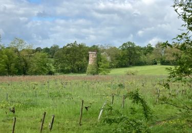 Tour Wandern Le Cellier - Le cellier - Photo