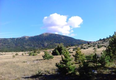 Trail On foot  - Guge-Brezovac - Photo