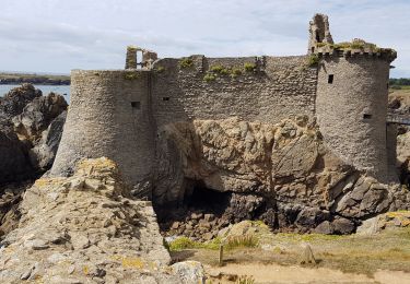 Excursión Bicicleta híbrida L'Île-d'Yeu - 85 - Vendée- Ile d Yeu  - Photo