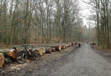 Tour Zu Fuß  - Rundwanderweg - Photo