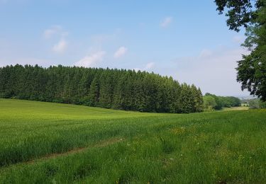 Excursión Senderismo Clavier - marche Adeps OCQUIER  - Photo