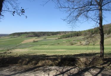 Excursión Senderismo Braux-le-Châtel - 010_Le_Tour_de_la_Repe - Photo