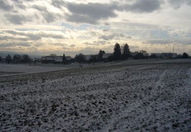 Randonnée A pied Lindau - Kempthal - Rorbas - Photo