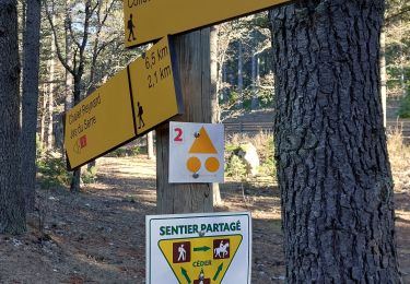 Excursión Senderismo Bédoin - Sur les Traces du Père Noël 🎅  - Photo