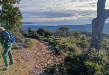 Percorso Marcia Roquebrune-sur-Argens - La Flûte  - Photo