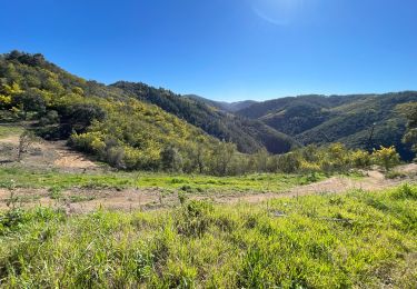 Trail Walking Tanneron - Tanneron  - Photo
