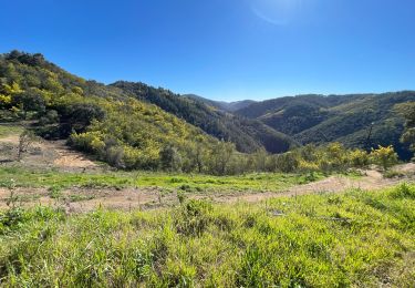 Tour Wandern Tanneron - Tanneron  - Photo