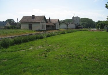 Tocht Te voet Gemeinde Wilfersdorf - Prinzendorf - Rundwanderweg 4 - Photo