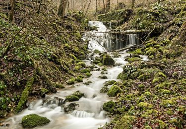 Randonnée A pied Hauenstein-Ifenthal - Ifenthal- Trimbach - Photo