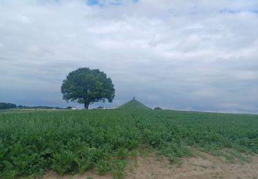 Tour Mountainbike Sint-Genesius-Rode - 62 km de Halle - Photo