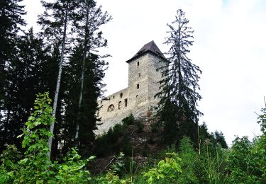 Excursión A pie Kašperské Hory - Na Kašperk jinak - Photo