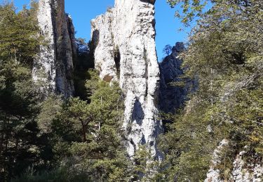 Trail Walking Glandage - Sucettes de Borne - refuge de la tour AR - Photo