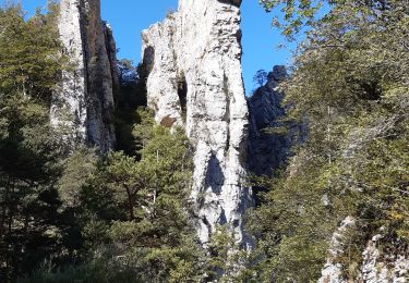 Tour Wandern Glandage - Sucettes de Borne - refuge de la tour AR - Photo