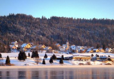 Tour Zu Fuß Saint-Point-Lac - La Ronde des Deux Villages - Photo