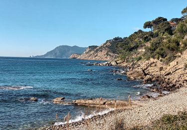 Percorso Marcia Saint-Mandrier-sur-Mer - Le littoral de St Mandrier-21-01-21 - Photo