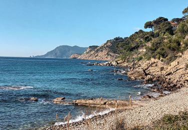 Trail Walking Saint-Mandrier-sur-Mer - Le littoral de St Mandrier-21-01-21 - Photo