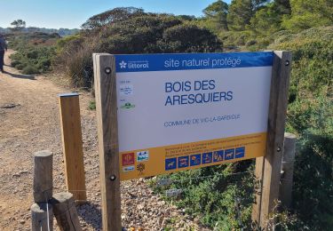 Tocht Stappen Frontignan - les Aresquiers du 05-02-2024 - Photo