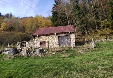 Randonnée Trail Vimines - montencot hodie - Photo