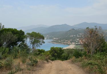 Tocht Stappen Calcatoggio - Murtetu (boucle) - Photo