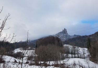 Excursión Marcha nórdica Seyssins - Seyssins le haut - Les Arcelles dans la neige - Photo