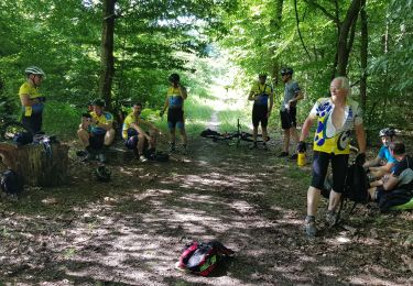 Tour Mountainbike Magny-le-Hongre - Malvoisine 65km - Photo