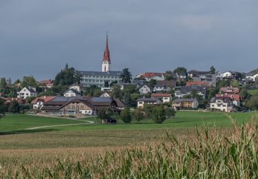 Tocht Te voet Neumarkt im Mühlkreis - Kempfendorer Berg Rundwanderweg - Photo