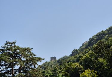 Trail Walking Bad Ragaz - Bad Ragaz - thermes- pfafers - bad ragaz - Photo
