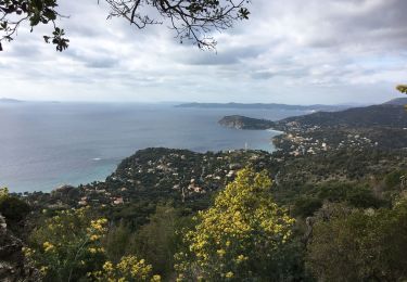 Trail Bicycle tourism Rayol-Canadel-sur-Mer - Rayol Canadel, Col du Canadel  - Photo