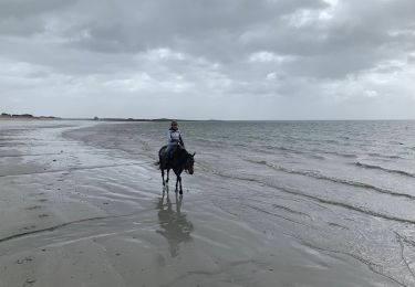 Tocht Paardrijden Sarzeau - Plage Jérôme  - Photo