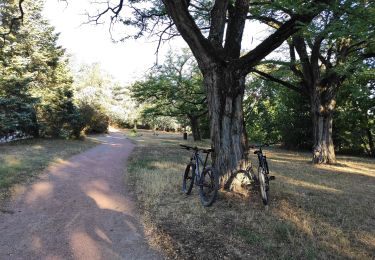 Percorso Bici ibrida Saint-Priest - VTT - Saint Priest Mairie au Parc de Parilly - Photo