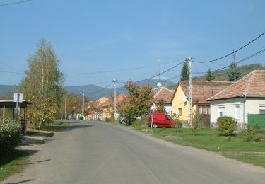 Percorso A piedi Szokolya - K↺ Tóvik vendégház - Photo