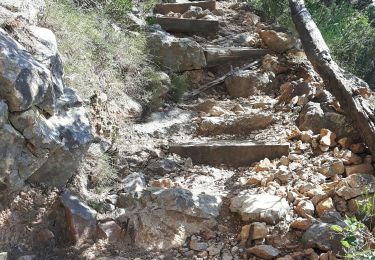 Tour Wandern Saint-Cyr-sur-Mer - St Cyr sentier du littoral  - Photo