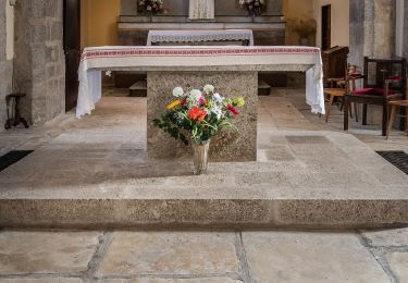 Tour Zu Fuß Sénergues - Autour du Clocher - Photo