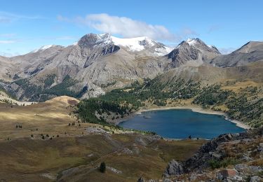 Excursión Senderismo Colmars - Col de l