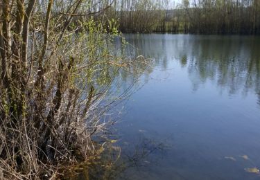 Tocht Stappen Champigny - 31 mars 2021  - Photo