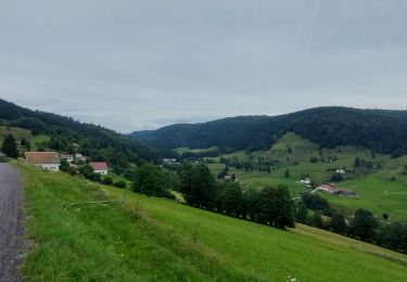 Randonnée Vélo électrique Xonrupt-Longemer - les crêtes col de la schlucht - Photo