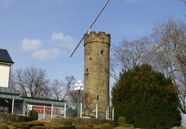 Tour Zu Fuß  - Heilbronner Rundwanderweg 1 - Photo