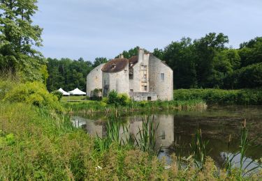 Trail Walking Montlignon - Le chateau de la chasse - Photo