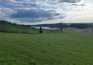 Tocht Stappen Chapelle-des-Bois - Tour du lac des Mortes - Photo