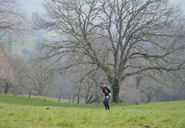 Randonnée Marche Entrelacs - SAPENAY GRANDE CUVE via PRINGY - Photo