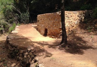 Tour Zu Fuß Cuttoli-Corticchiato - Monte Aragnascu - Photo