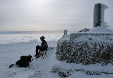 Tocht Te voet Barbadillo de Herreros - Ascensión al San Millán - Photo