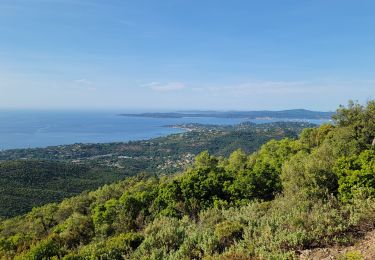 Randonnée Marche Roquebrune-sur-Argens - Haut du col du Bougnon - Photo