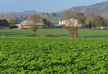 Tour Wandern Saint-Sylvestre-Cappel - NJM St Sylvestre Cappel 11/2025 - Photo