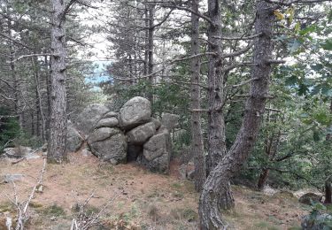 Trail Walking Saint-Sauveur-Camprieu - GR7 jour 12 Puechagut - Photo