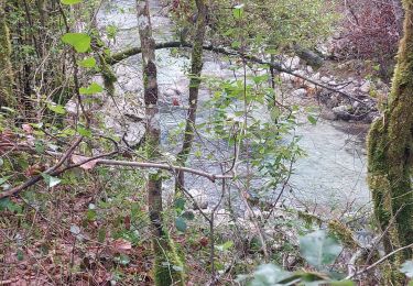 Trail Walking La Gaude - La Gaude - Bord de Cagnes - Photo